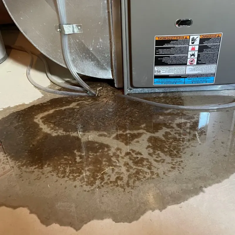 Pipe Burst and Leak Restoration in Vieques, PR
