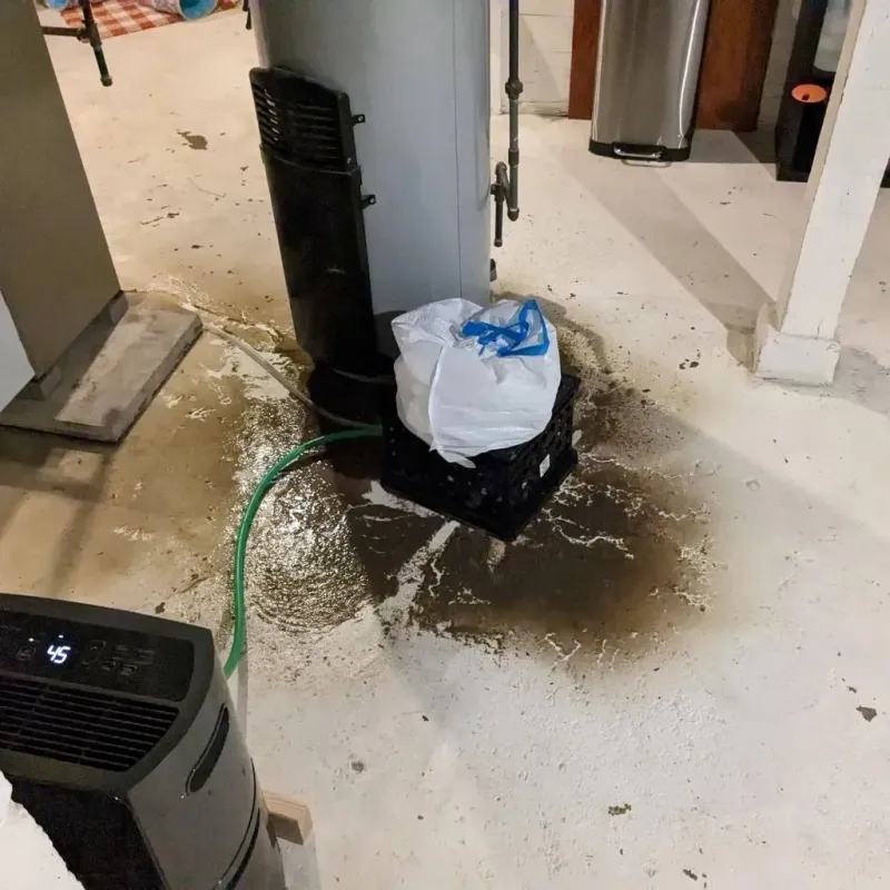 Sewage Backup Cleanup Service in Vieques, PR